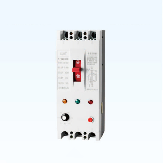 DZ20D-250/3902电子式缺相保护器